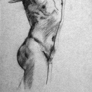 sketch of male torso